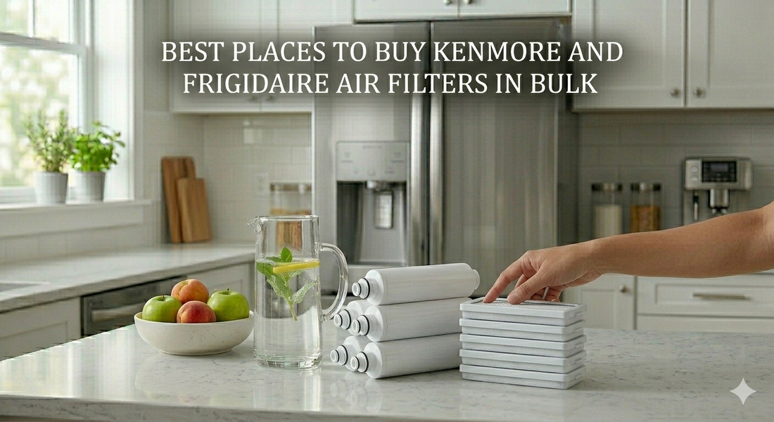 Stacks of generic unbranded refrigerator water and air filters next to a pitcher of water and a bowl of fruit on a kitchen counter with the blog title as text.